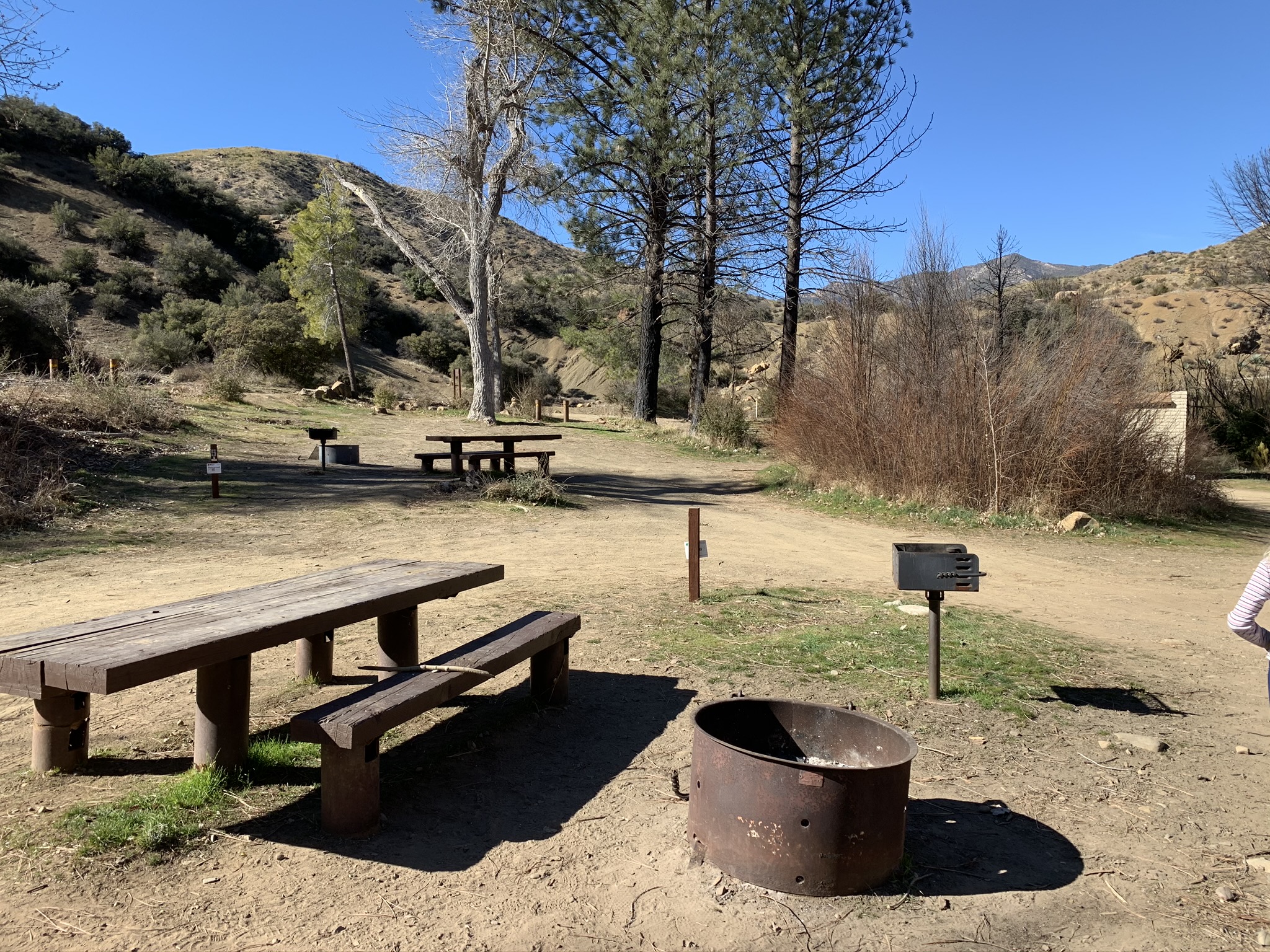 Escape to Montana's Wild Heart: Lion Creek Lower Campground